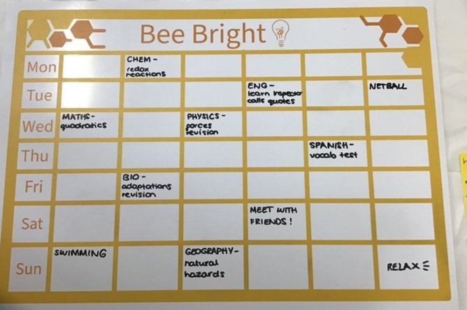 BeeBright Reusable Revision Timetable