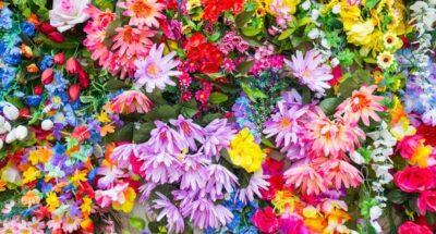 spring-quotes-lead-image-array-of-colorful-flowers-1674753050
