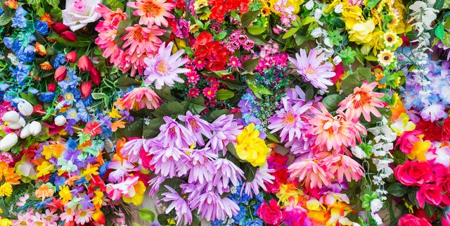 spring-quotes-lead-image-array-of-colorful-flowers-1674753050