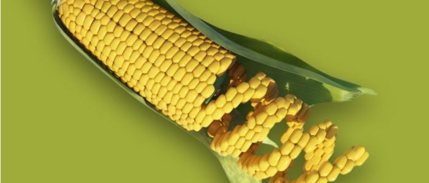 GMOs: Super Species or Disaster Diet?