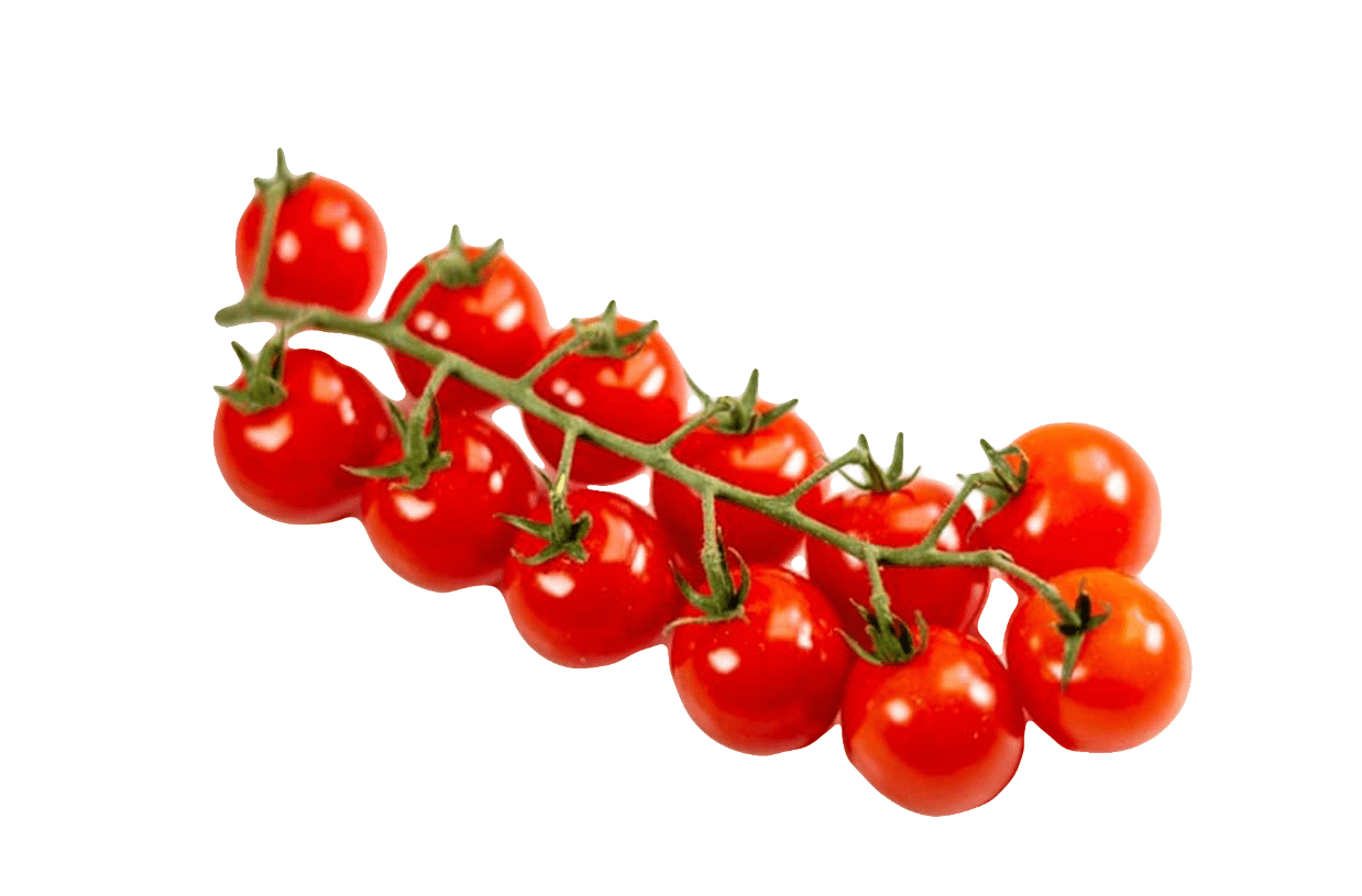 tomatoes Image