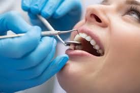 Teeth 1